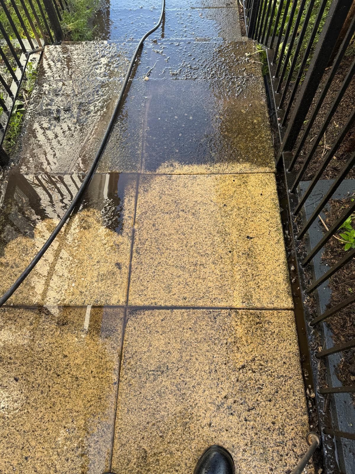 Side path with moss between joints