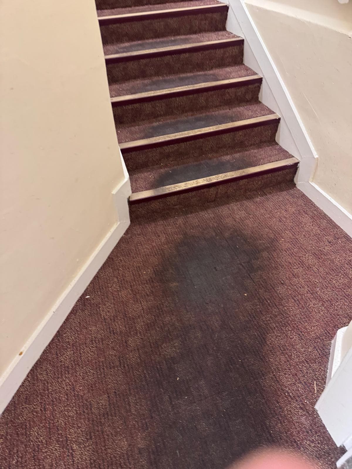 Soiled stair runner before extraction