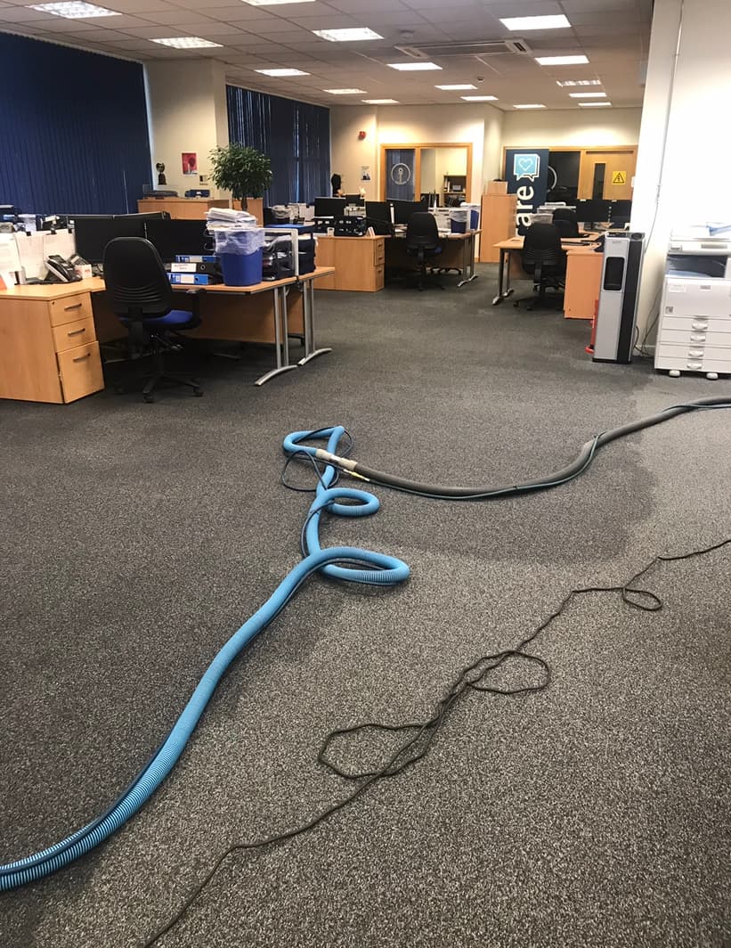 Carpet cleaning service