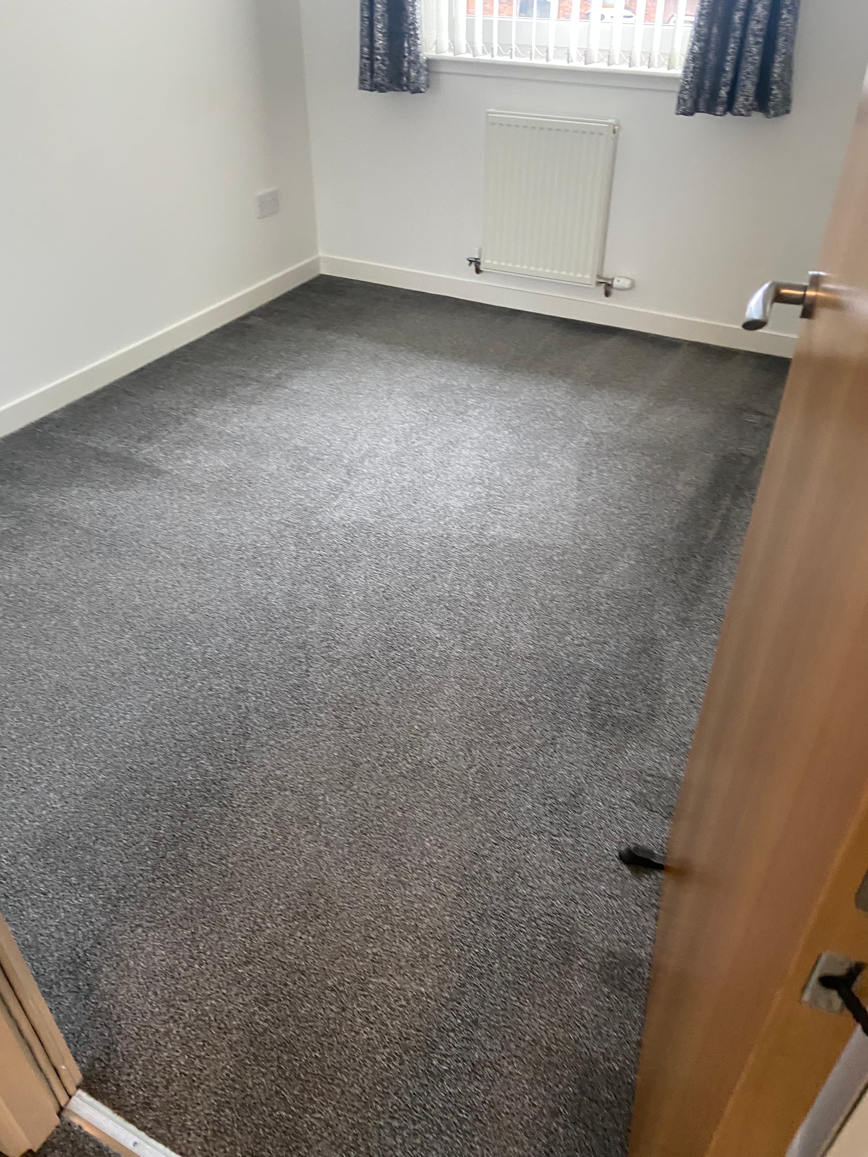 Professional carpet cleaning result