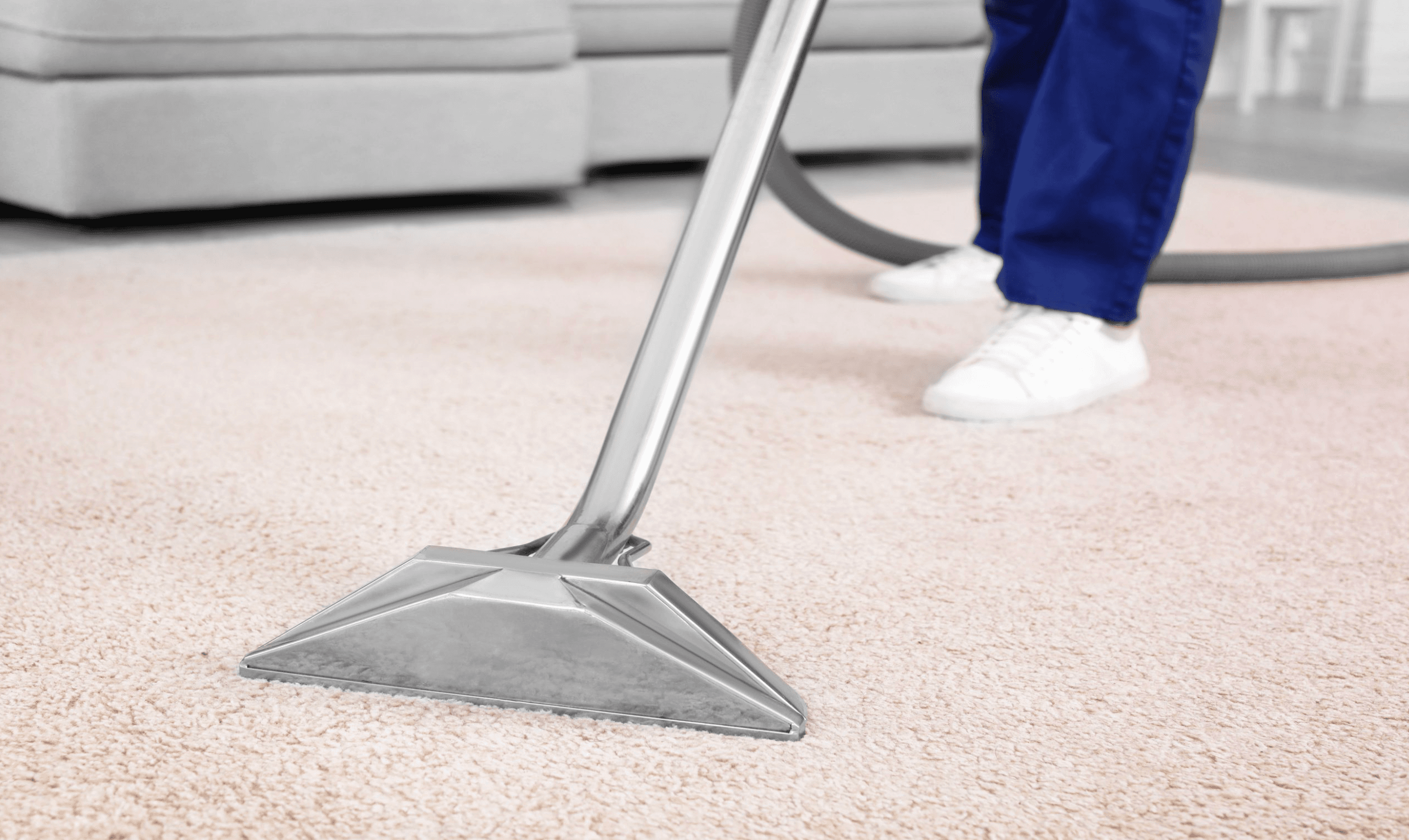 Carpet Cleaning