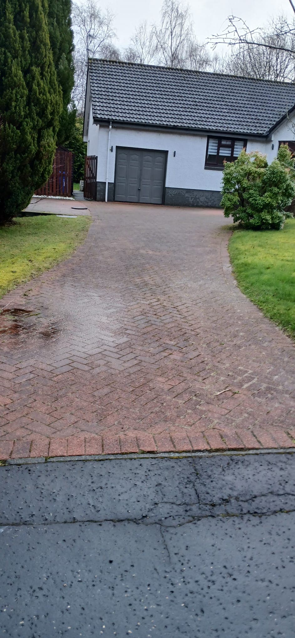 Side path with moss and algae lines