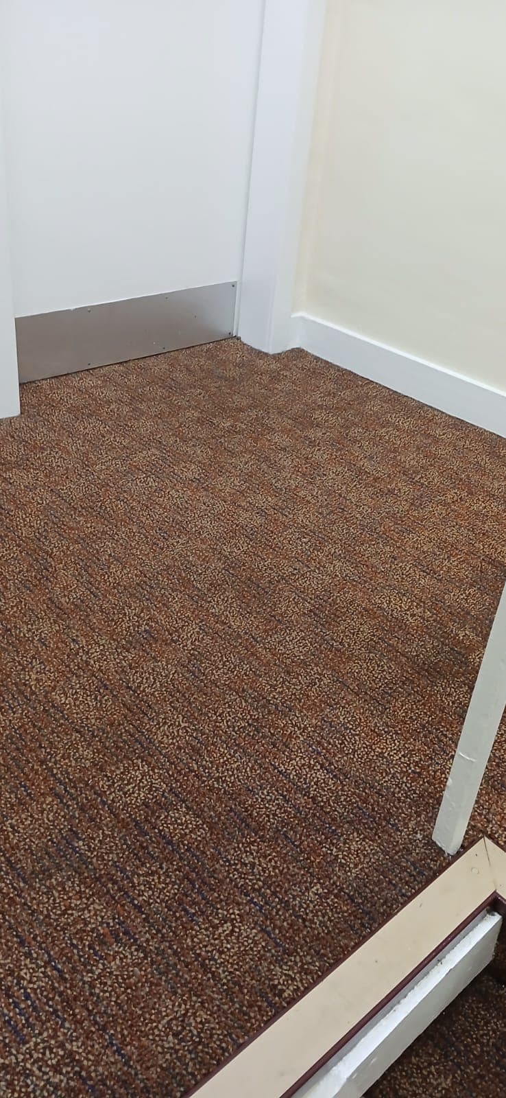 Cleaning the office stair flights