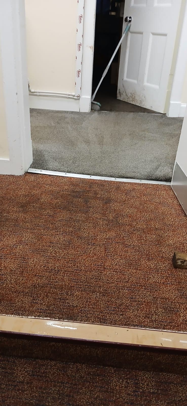 Extraction in progress on corridor carpet