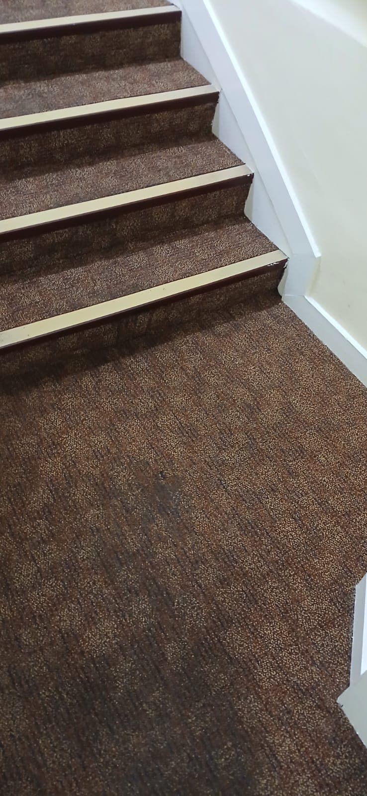Office carpet after deep extraction
