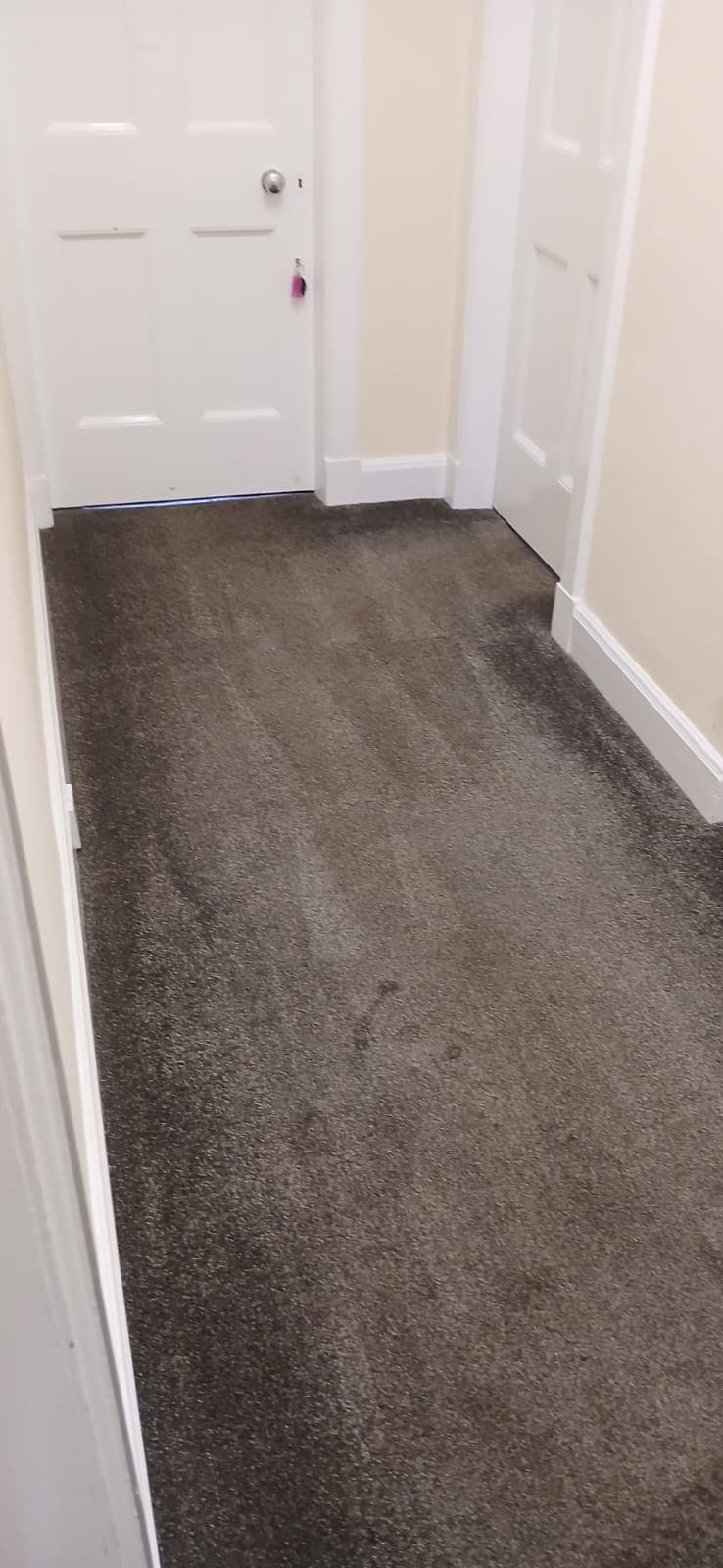 Even tone restored on grey office carpet
