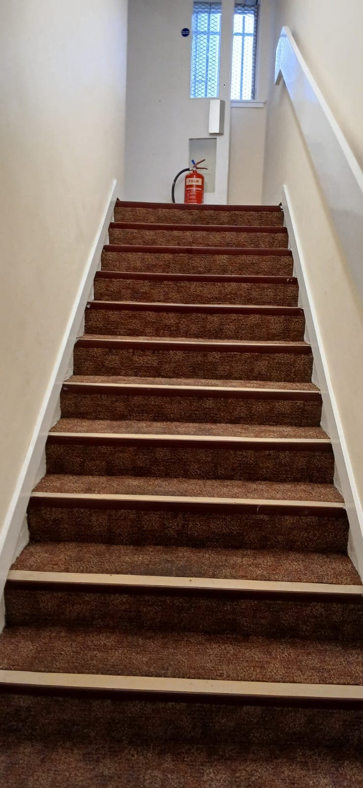 Stair flights after carpet shampoo