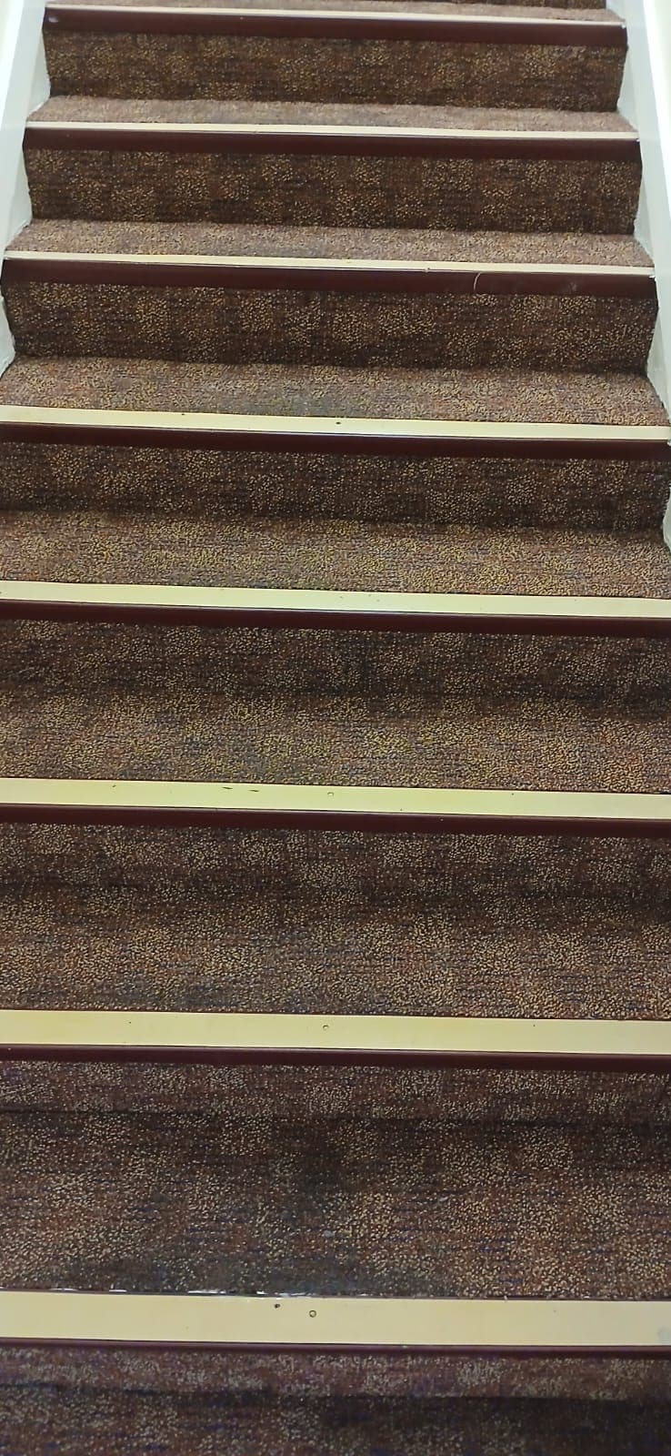 Final result – office carpets restored