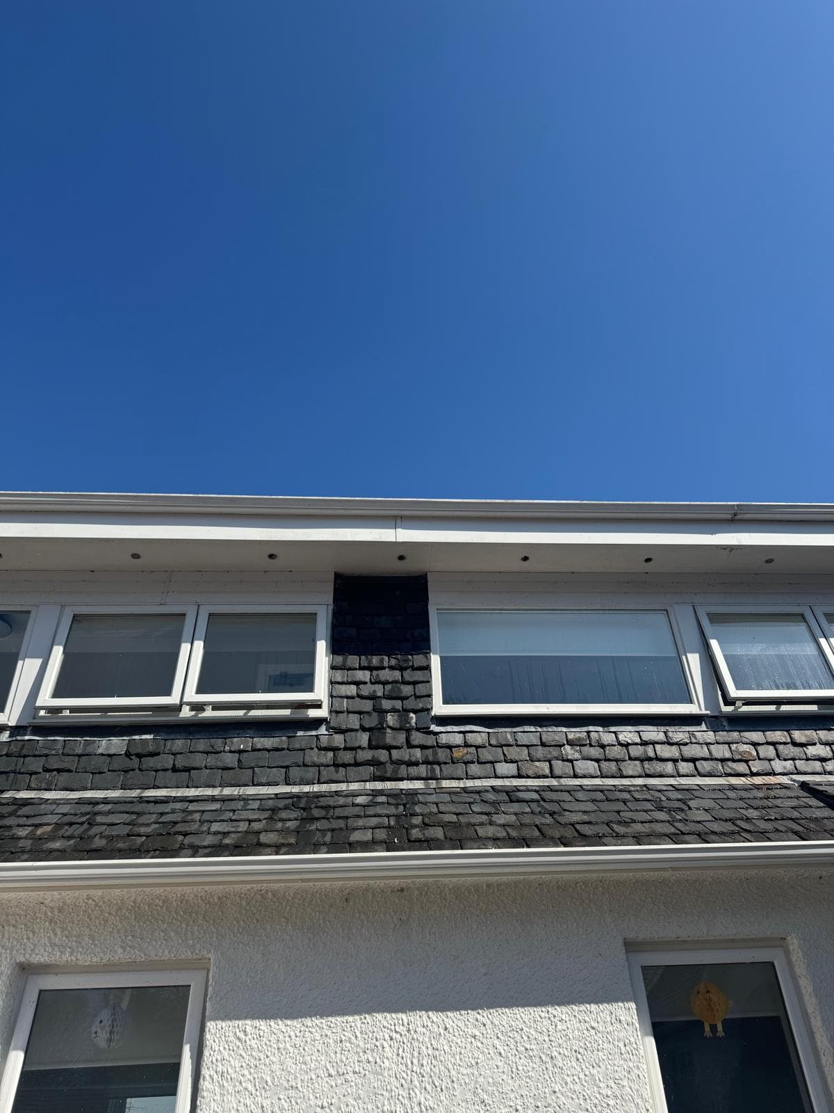 Compacted leaves and moss in gutter