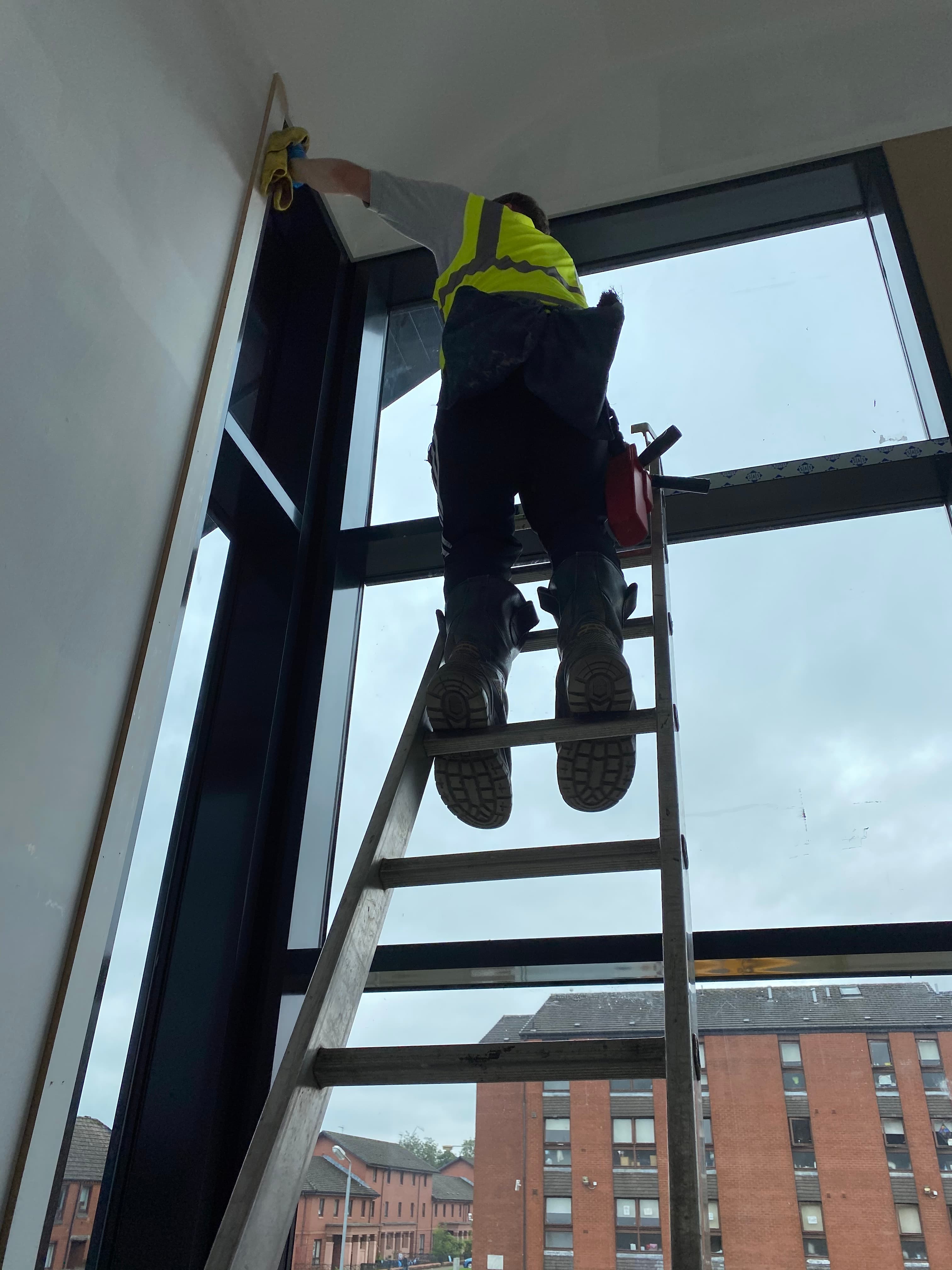 Professional window cleaning service